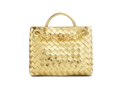 Bottega Veneta Small Andiamo "Gold"