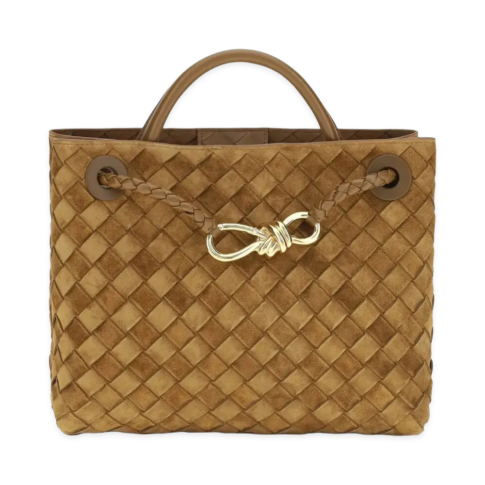 Bottega Veneta Women's Andiamo Small Handbag "Marrone"