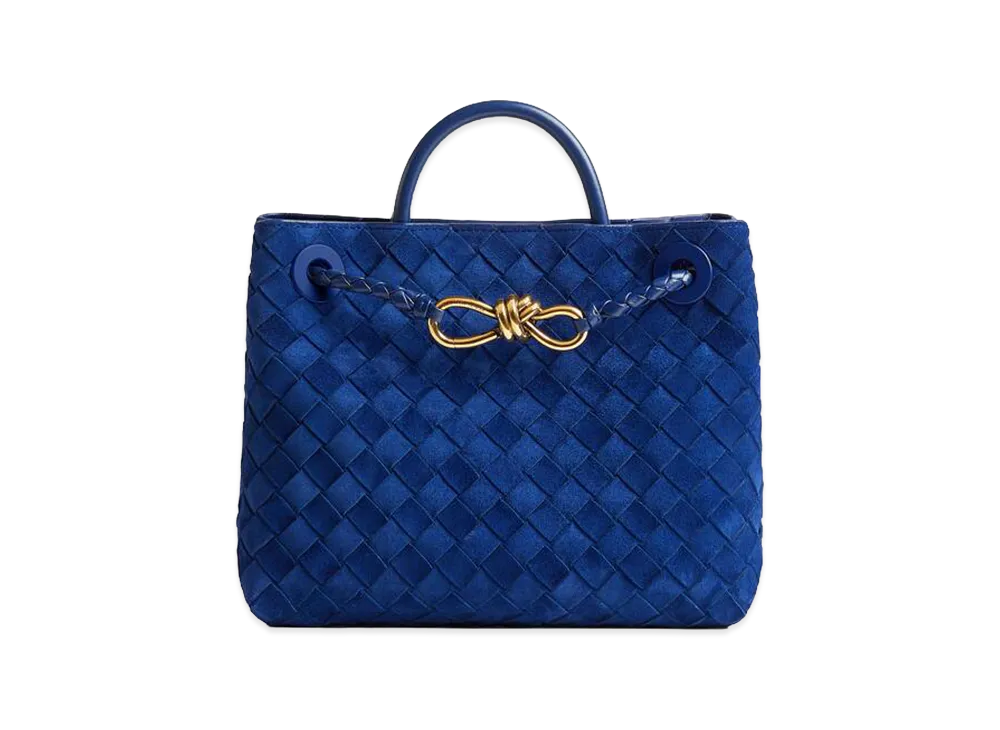 Bottega Veneta Small Andiamo "Royal Blue"