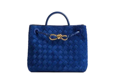 Bottega Veneta Small Andiamo "Royal Blue"