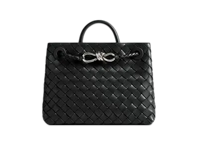 Bottega Veneta Small Andiamo "Black"