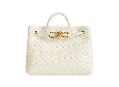 Bottega Veneta Small Andiamo "Sea Salt"