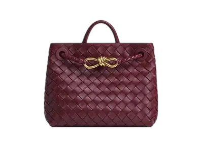 Bottega Veneta Small Andiamo "Barolo"