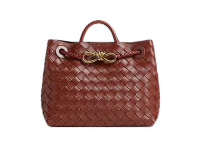 Bottega Veneta Small Andiamo "Sapele"