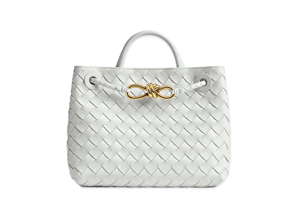 Bottega Veneta Small Andiamo "Hoarfrost"