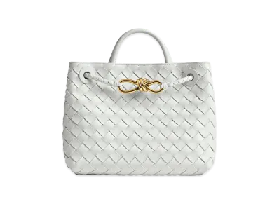 Bottega Veneta Small Andiamo "Hoarfrost"