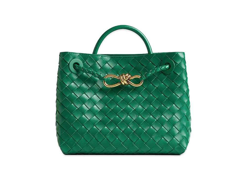 Bottega Veneta Small Andiamo "Jungle"
