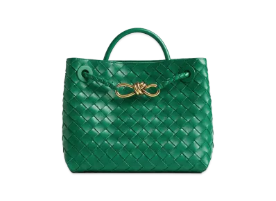 Bottega Veneta Small Andiamo "Jungle"