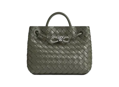 Bottega Veneta Small Andiamo "Pickle"