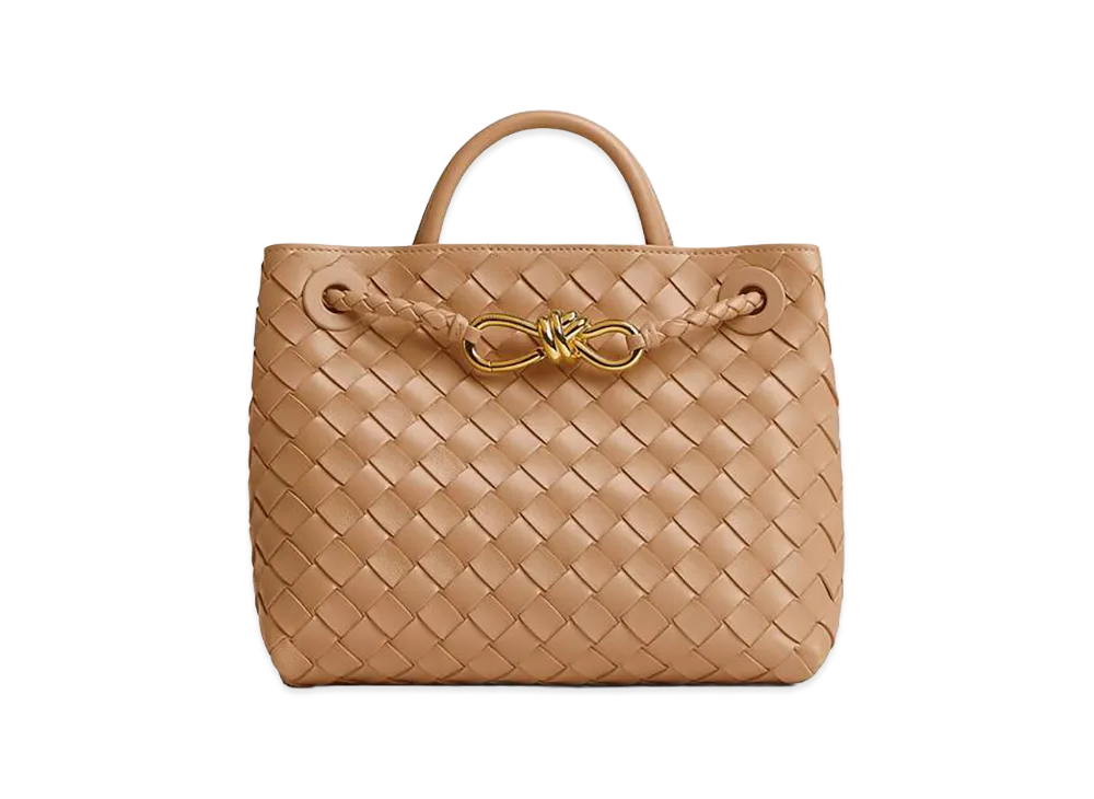 Bottega Veneta Small Andiamo "Pale Brown"