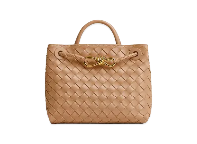 Bottega Veneta Small Andiamo "Pale Brown"