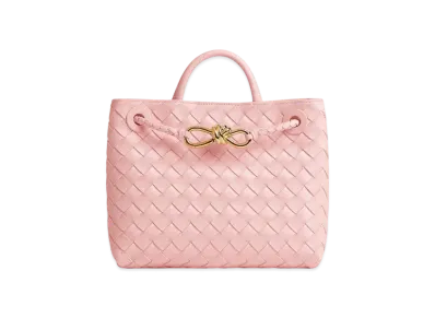 Bottega Veneta Small Andiamo "Rose"