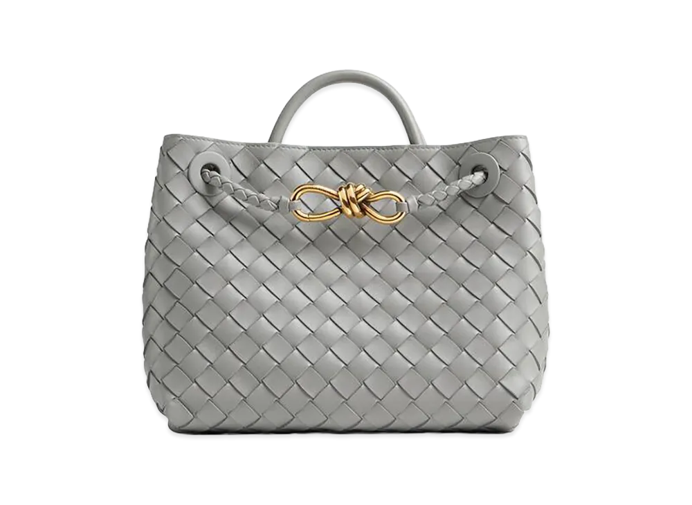 Bottega Veneta Small Andiamo "Sterling"
