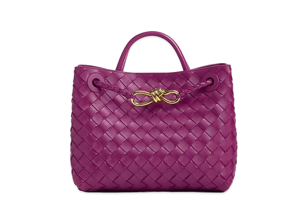 Bottega Veneta Small Andiamo "Beetroot"