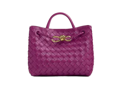 Bottega Veneta Small Andiamo "Beetroot"