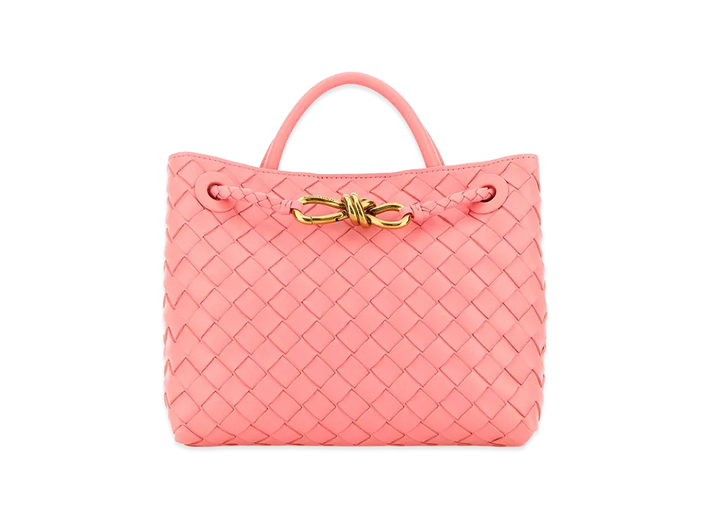 Bottega Veneta Women's Leather Small Andiamo Handbag "Pink"