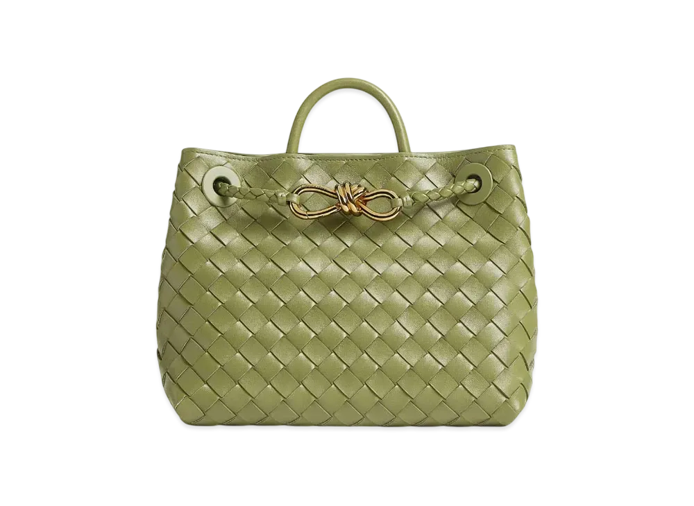 Bottega Veneta Small Andiamo "Matcha"