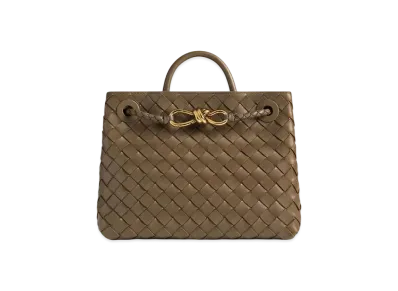 Bottega Veneta Small Andiamo "Pinecone"