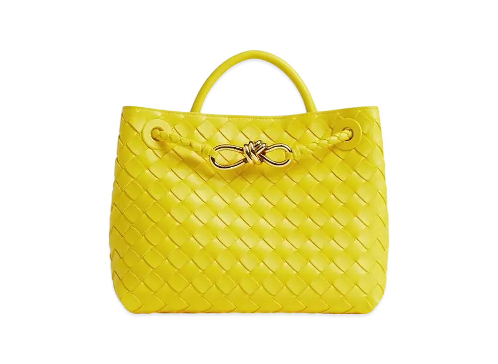 Bottega Veneta Small Andiamo "Sulfur"