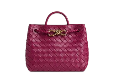 Bottega Veneta Small Andiamo "Cinnabar"