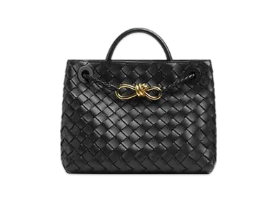 Bottega Veneta Small Andiamo "Black"