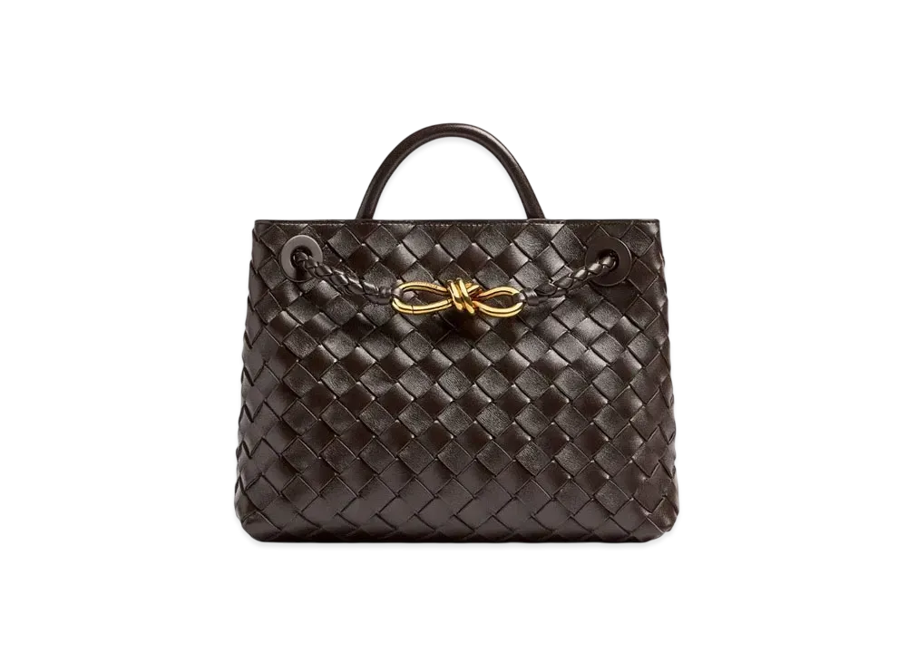 Bottega Veneta Small Andiamo "Fondente"