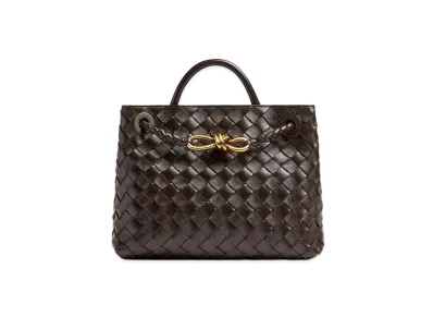 Bottega Veneta Small Andiamo "Fondente"