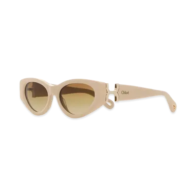 Chloe Women's Skin Acetate Sunglasses "Pink"