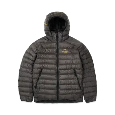 PALACE / Arc'Teryx Alpha Cerium LT Hoodie "Grey"