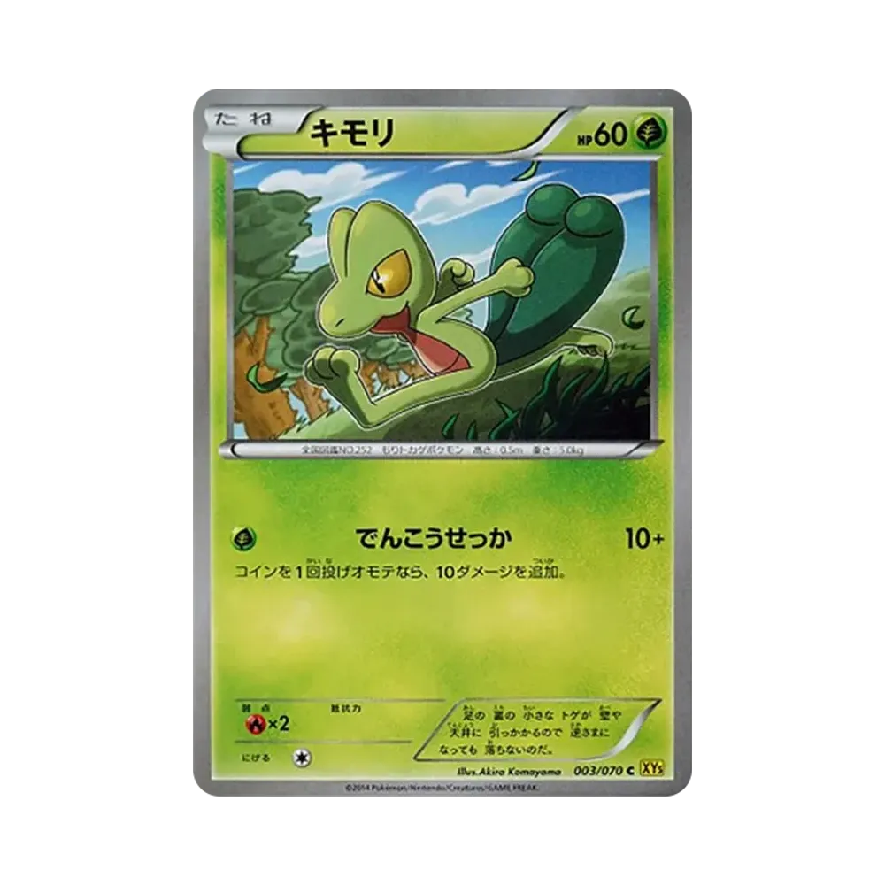 キモリ C [XY5 003/070](拡張パック「ガイアボルケーノ」)