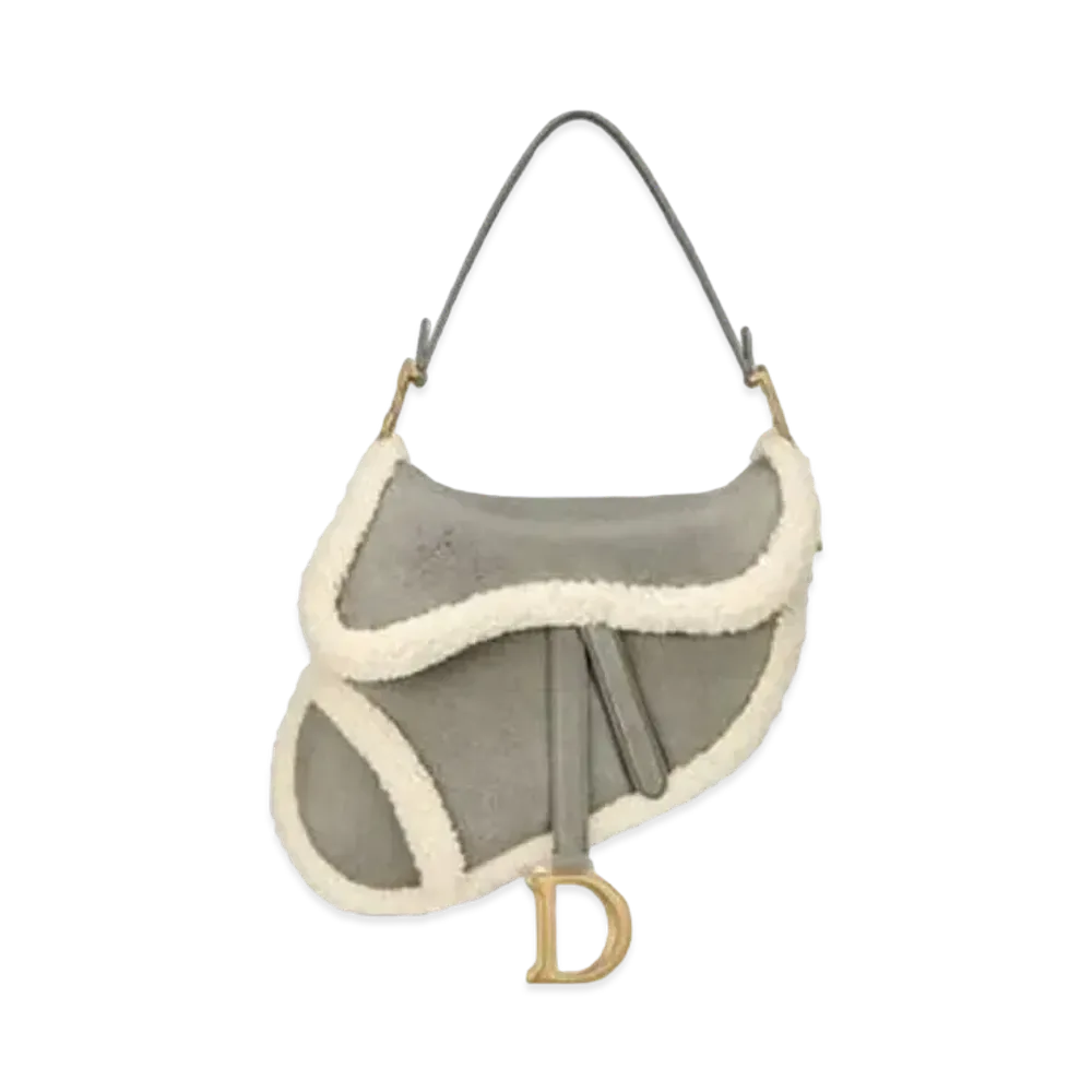 Dior Saddle Bag "Gray"