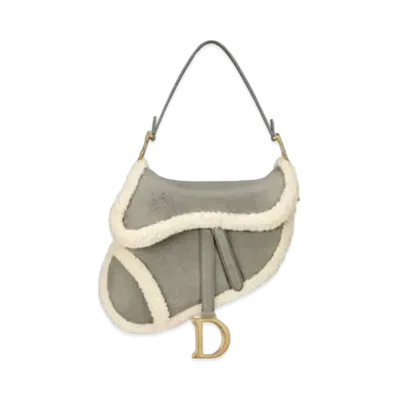 Dior Saddle Bag "Gray"