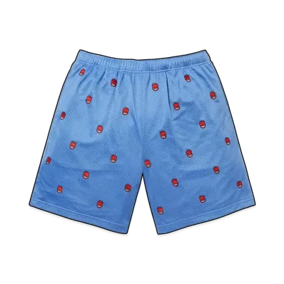 Supreme x Spitfire Mesh Short "Light Blue"