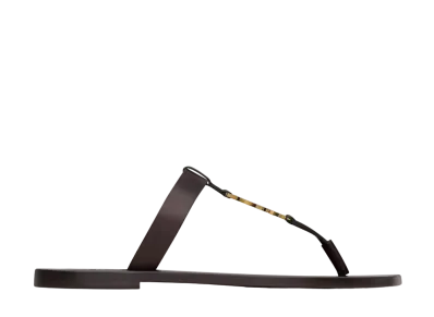 Saint Laurent Cassandre Slides in Smooth Leather "Ultra Dark Brown"