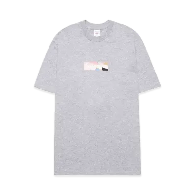 Supreme x Emilio Pucci Box Logo Tee "Grey/Pink"