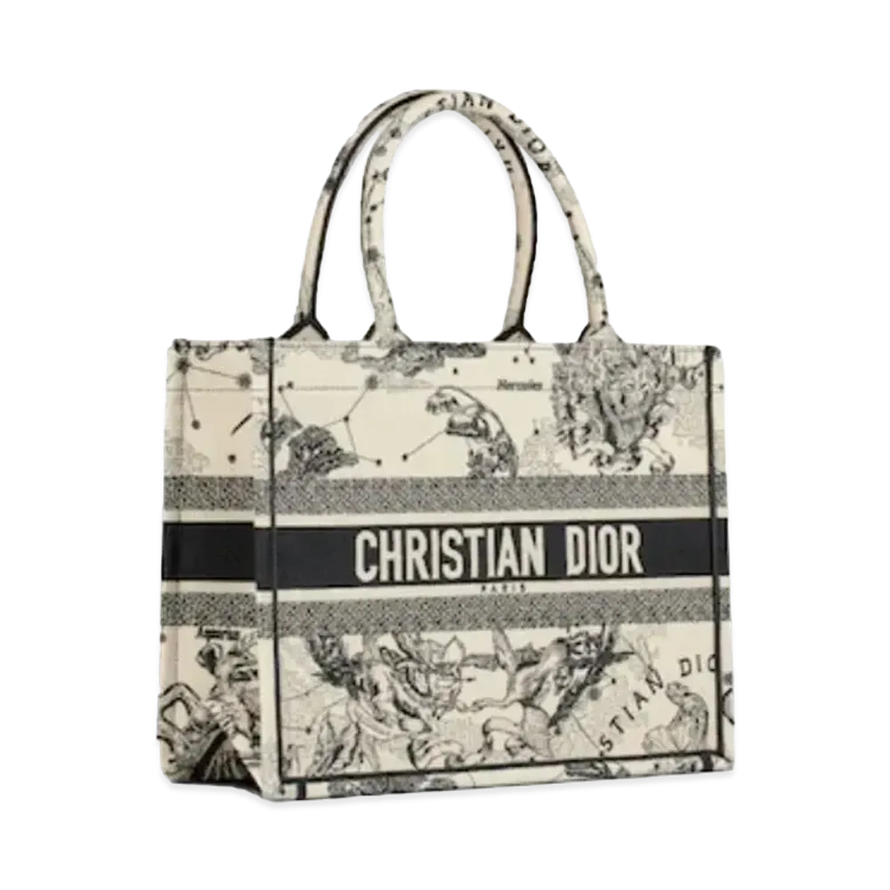 Dior Small Dior Book Tote "Multi"