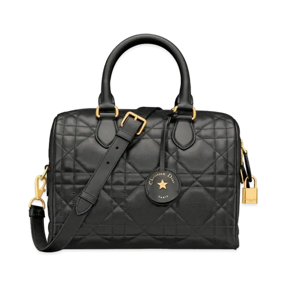 Dior Groove 25 Bag Macrocannage Calfskin "Black"
