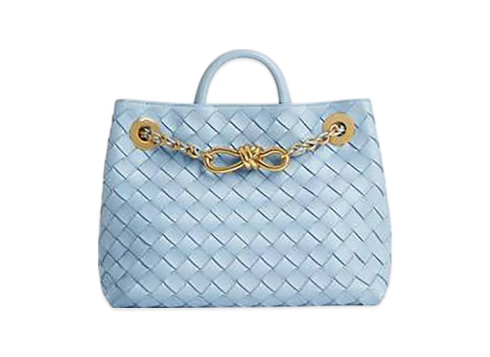 Bottega Veneta Small Andiamo With Chain "Ice"