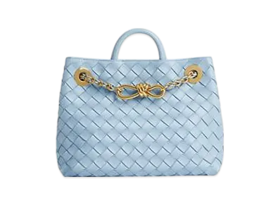 Bottega Veneta Small Andiamo With Chain "Ice"