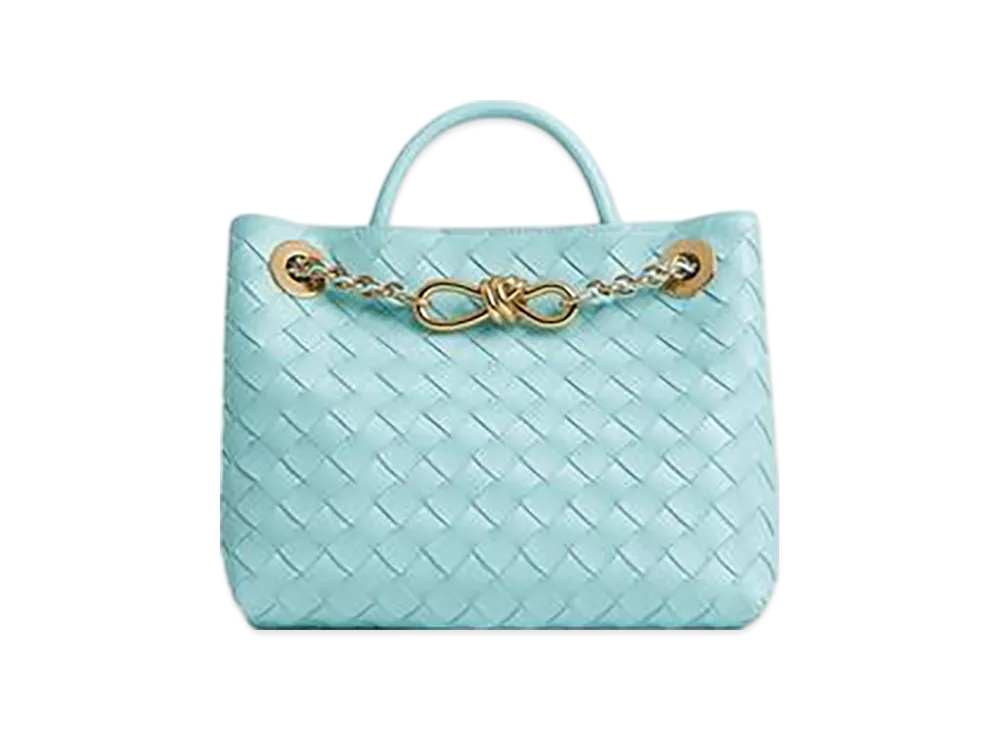 Bottega Veneta Small Andiamo Chain "Zenith"