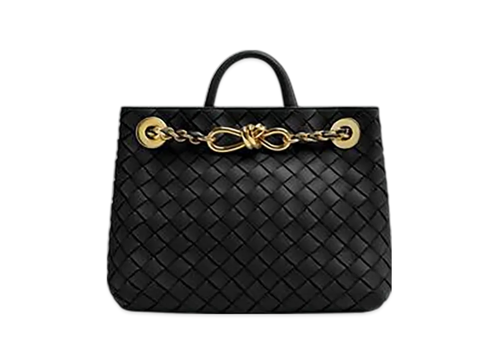 Bottega Veneta Small Andiamo Chain "Black"