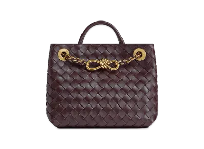 Bottega Veneta Small Andiamo Chain "Dark Barolo"