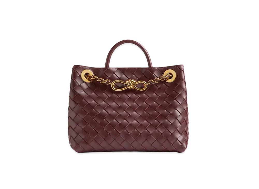 Bottega Veneta Small Andiamo Chain "Madder Brown"