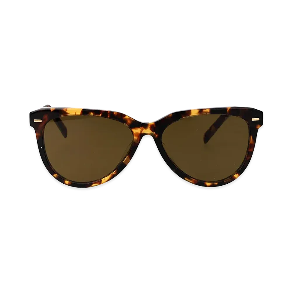 MIU MIU Women's Sunglasses "Brown"