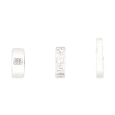 Dior Oblique Earring Set Brass "Silver"