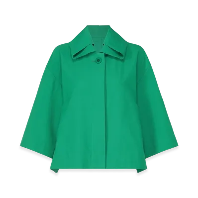 132 5. ISSEY MIYAKE Washi Stretch "Viridian"