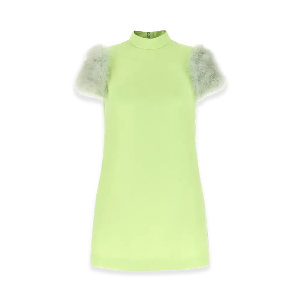Valentino Women's ' Garavani' Feather Dress "Green"
