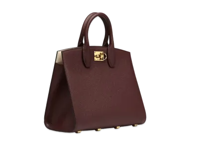 Salvatore Ferragamo Studio Box Bag "Bordeaux/Bone"