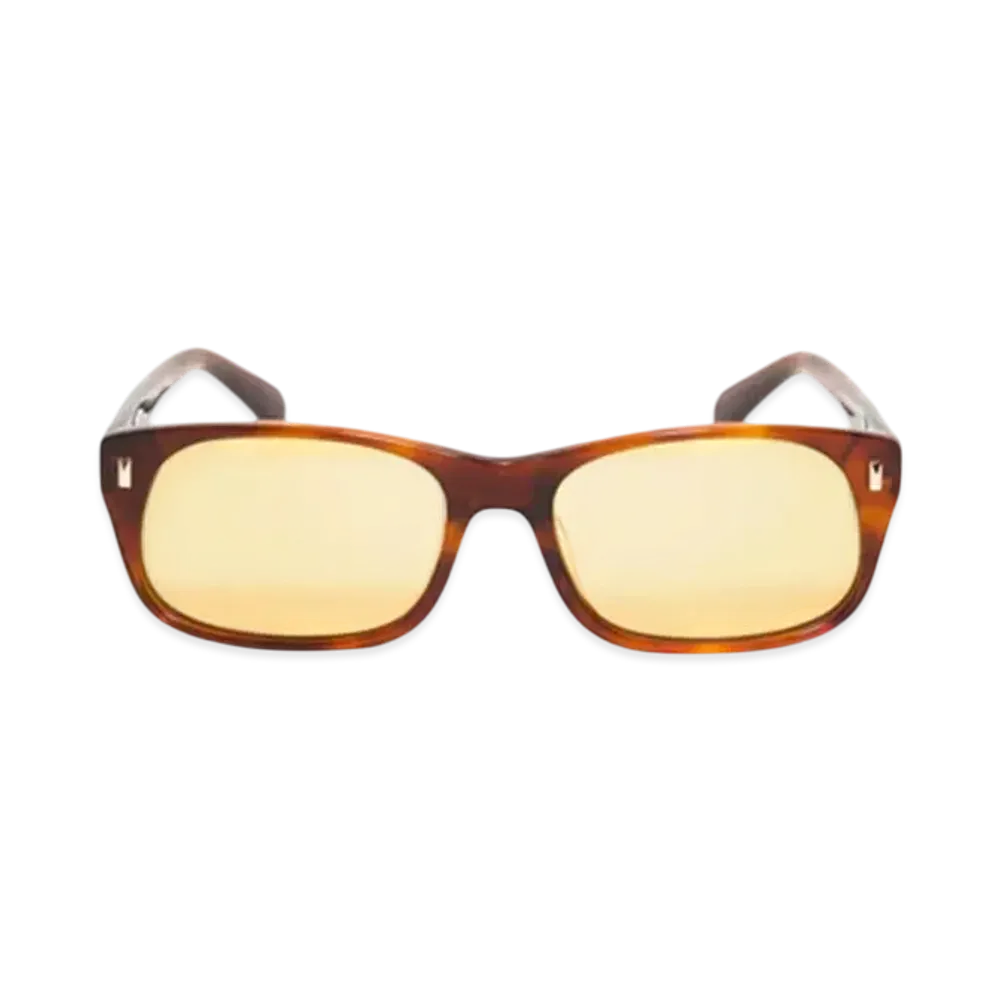 Stussy Michael Sunglasses "Tortoise/Brown Lens"
