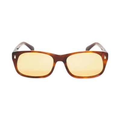 Stussy Michael Sunglasses "Tortoise/Brown Lens"